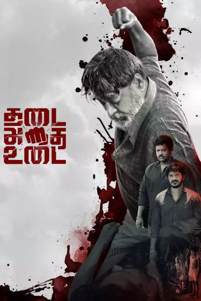 movie vertical poster fallback