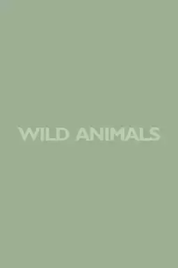 Wild Animals