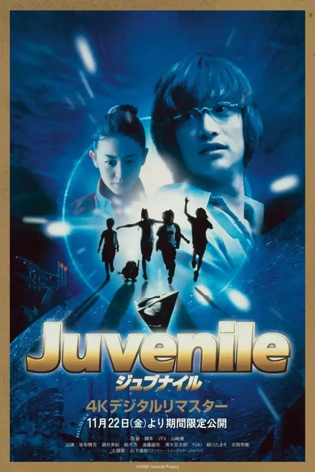 movie vertical poster fallback