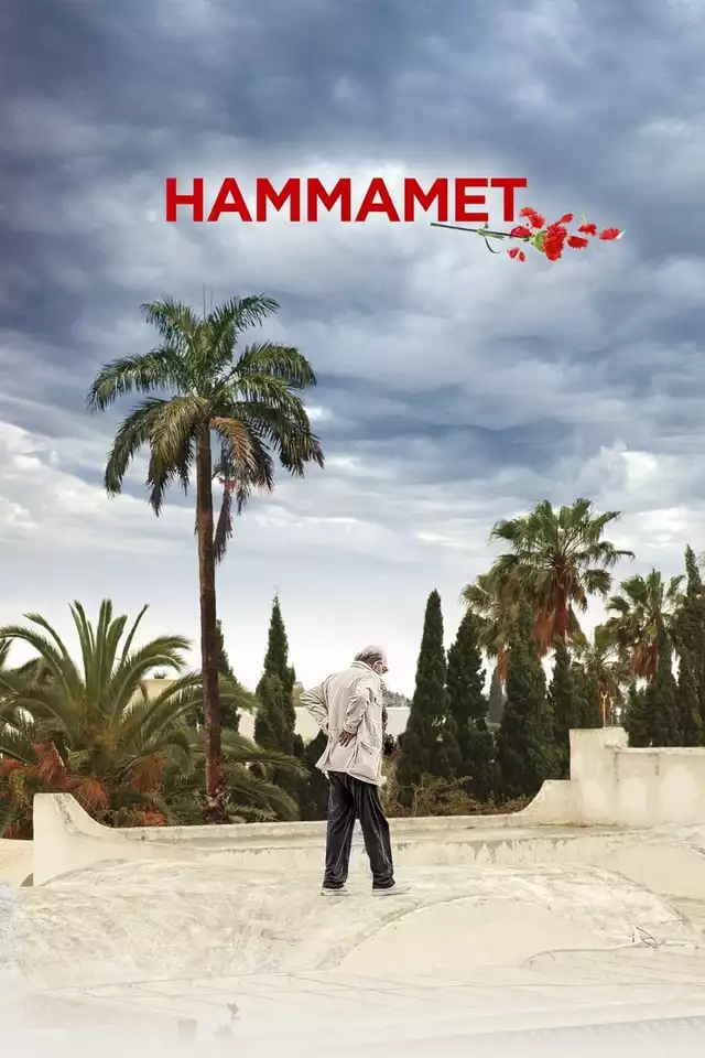 movie vertical poster fallback