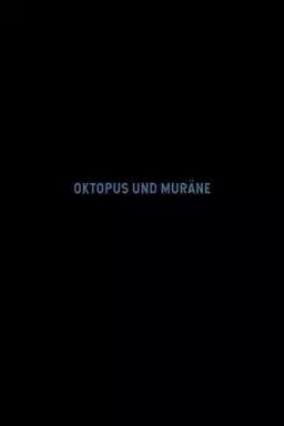 Octopus and Moray