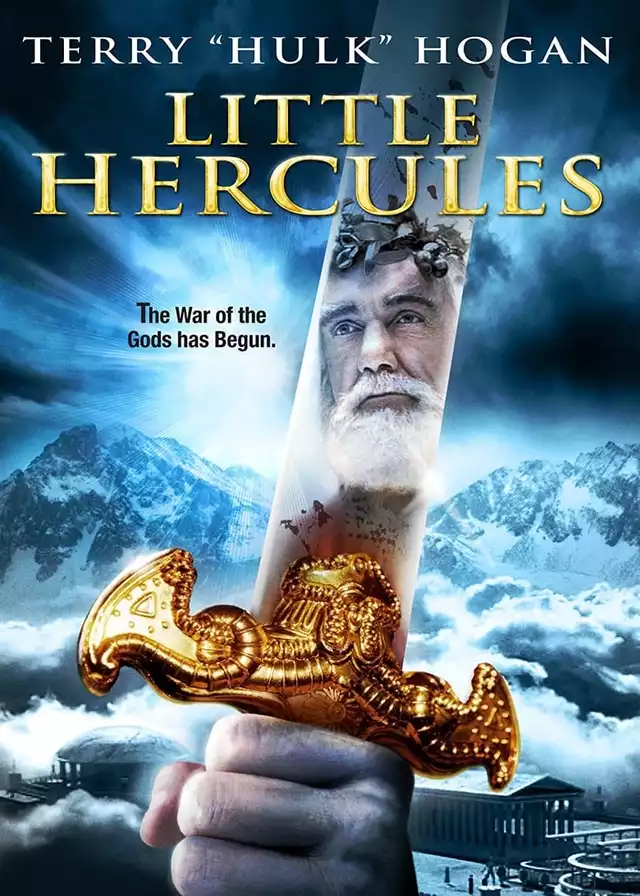 movie vertical poster fallback