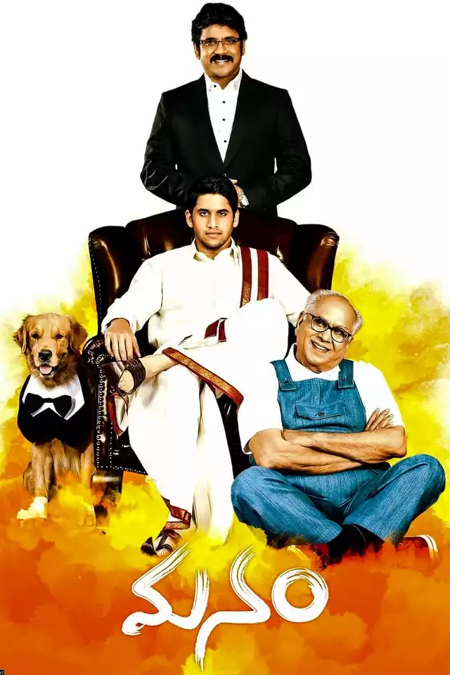 movie vertical poster fallback