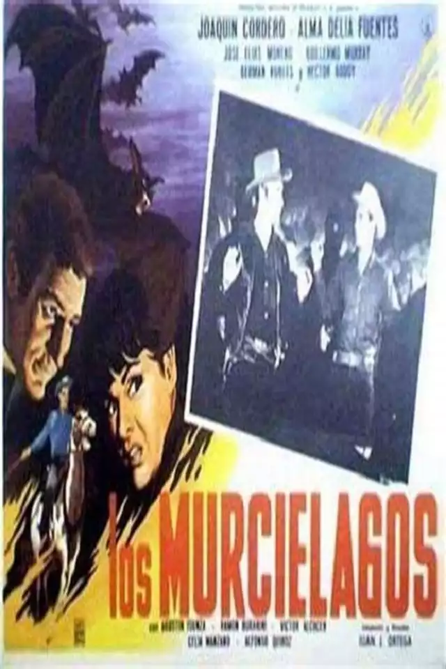 movie vertical poster fallback