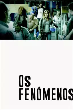 Os Fenómenos