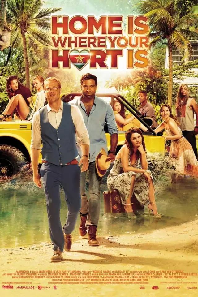 movie vertical poster fallback