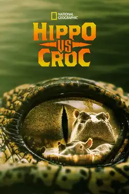 Hippo vs Croc