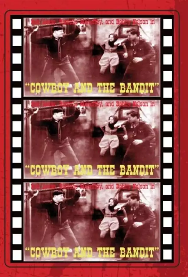movie vertical poster fallback