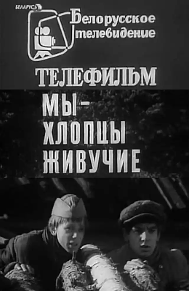 movie vertical poster fallback