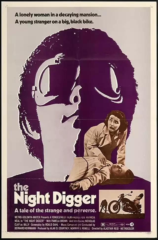 movie vertical poster fallback