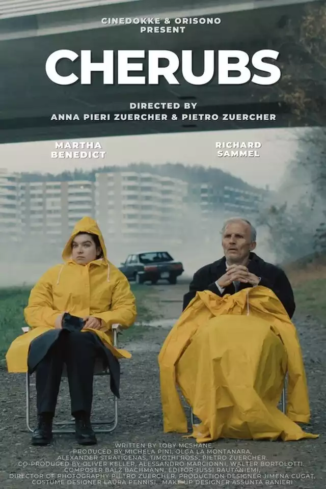 movie vertical poster fallback
