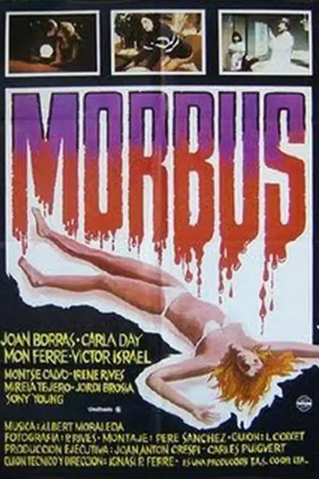 movie vertical poster fallback