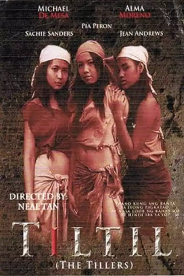 movie vertical poster fallback