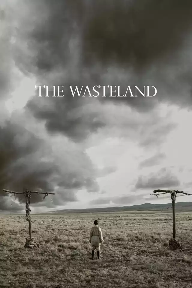 movie vertical poster fallback