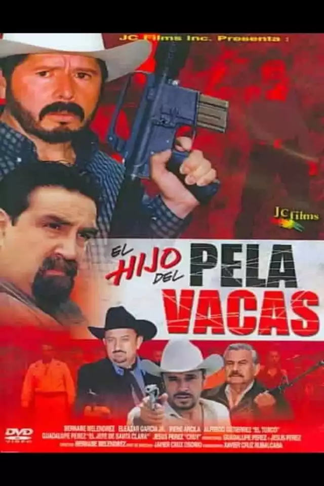 movie vertical poster fallback