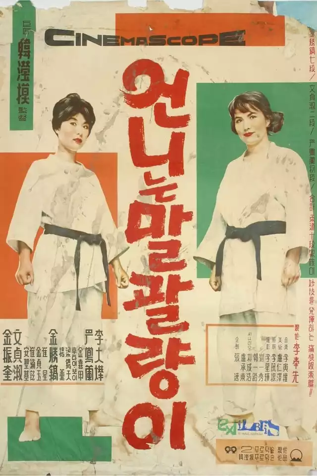 movie vertical poster fallback
