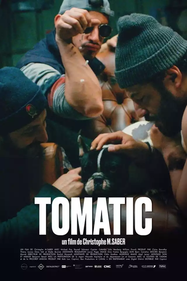 movie vertical poster fallback