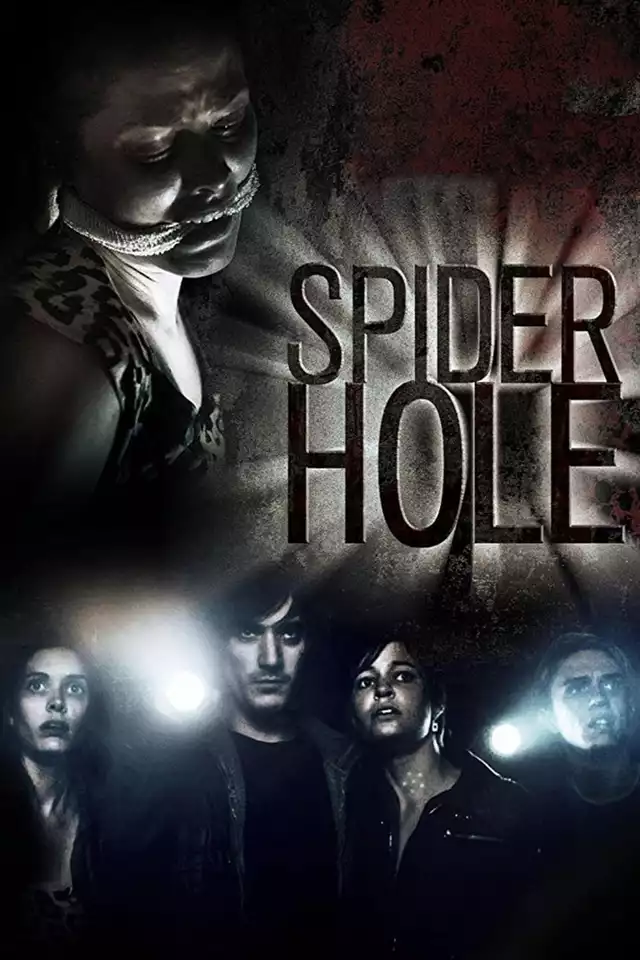 movie vertical poster fallback