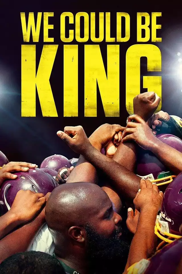 movie vertical poster fallback