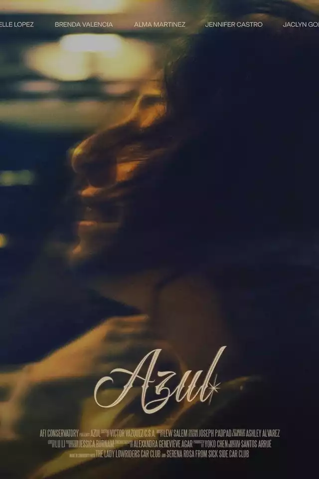 movie vertical poster fallback