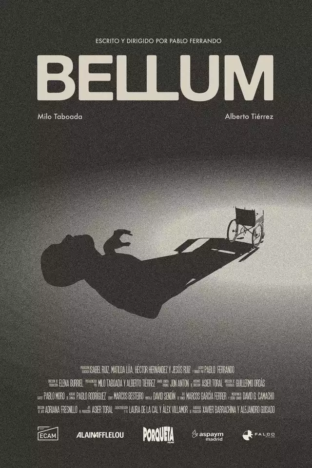 movie vertical poster fallback