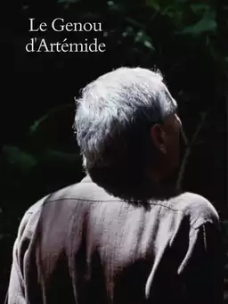 Artemide's Knee