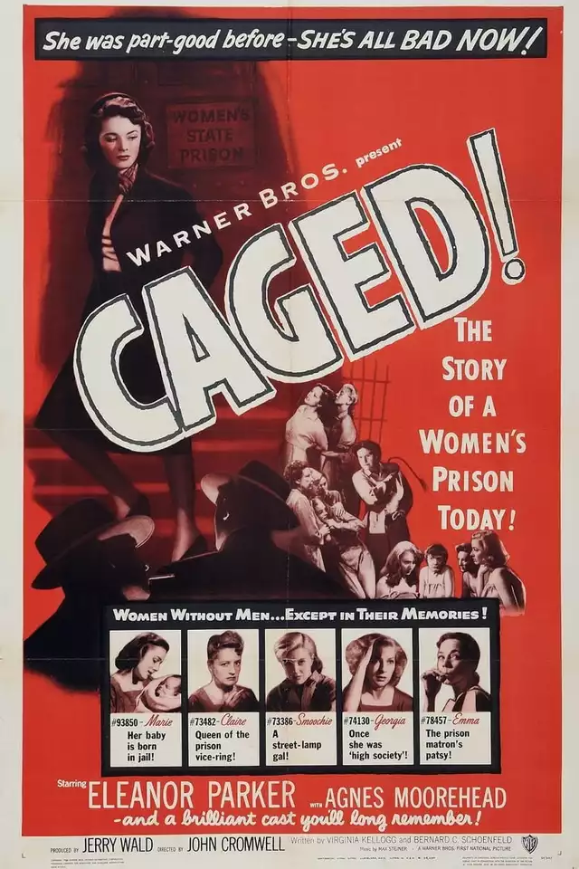 movie vertical poster fallback