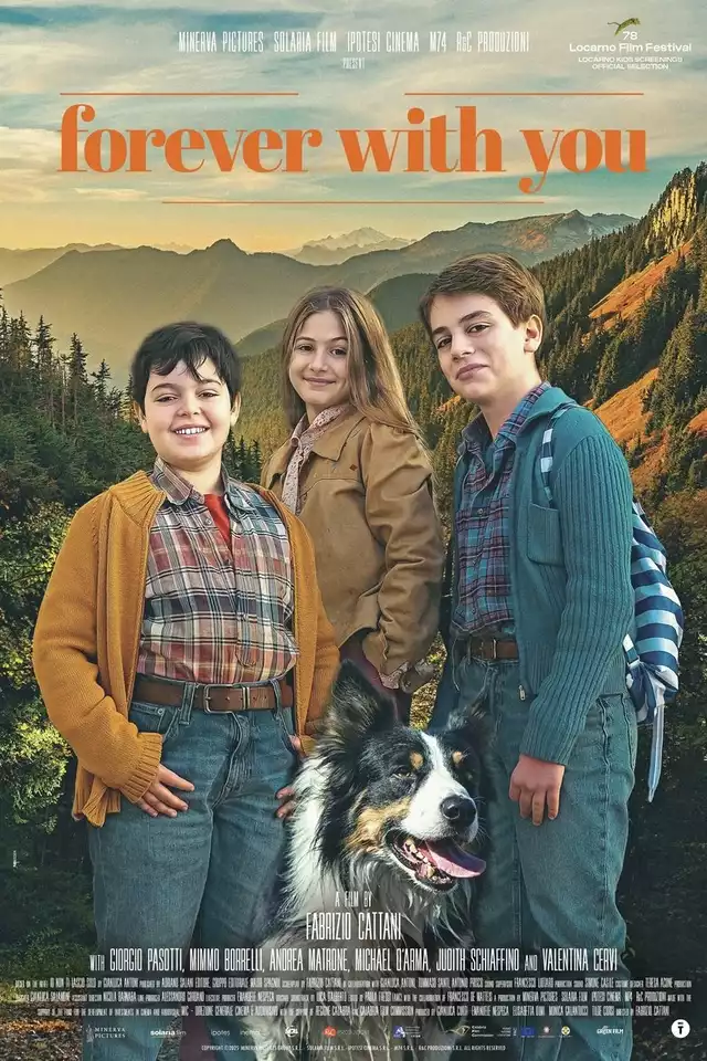 movie vertical poster fallback