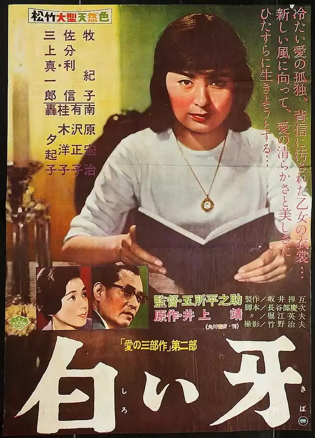 movie vertical poster fallback