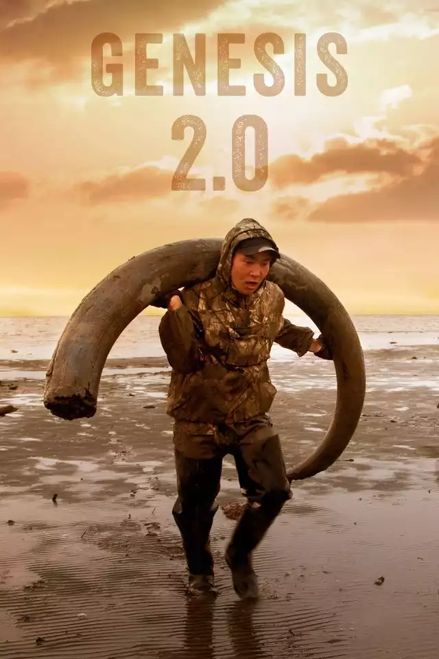 movie vertical poster fallback