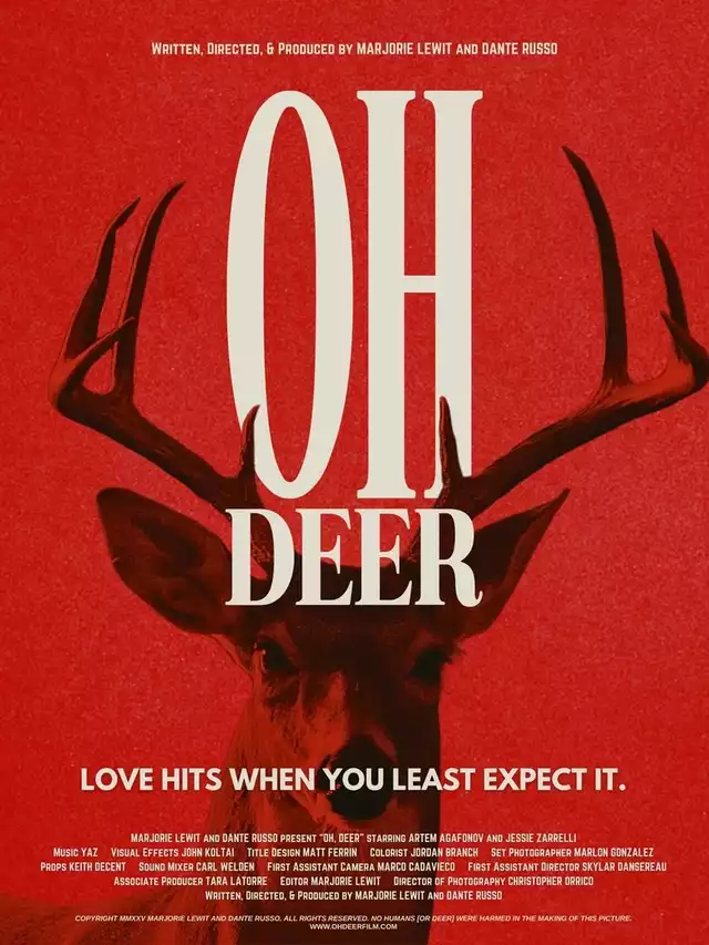 movie vertical poster fallback