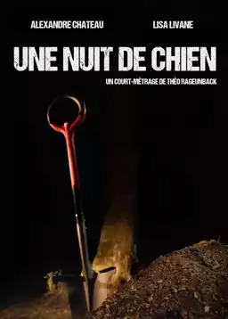 Une nuit de chien