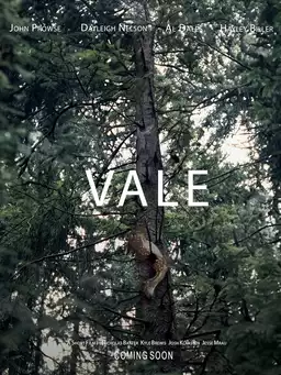 Vale