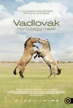 Wild Horses - A Tale From The Puszta