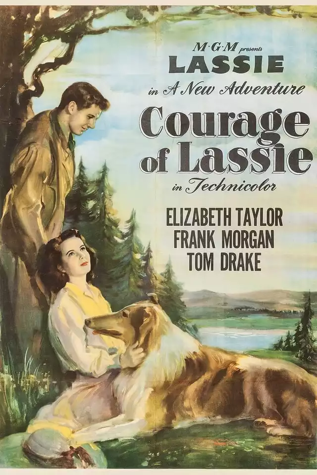 movie vertical poster fallback