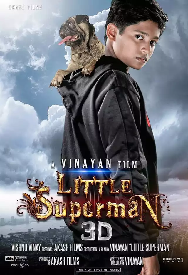 movie vertical poster fallback