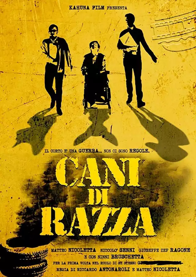 movie vertical poster fallback