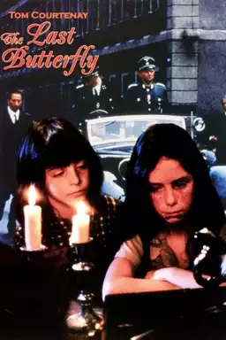 The Last Butterfly