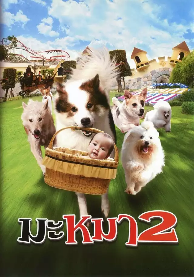 movie vertical poster fallback