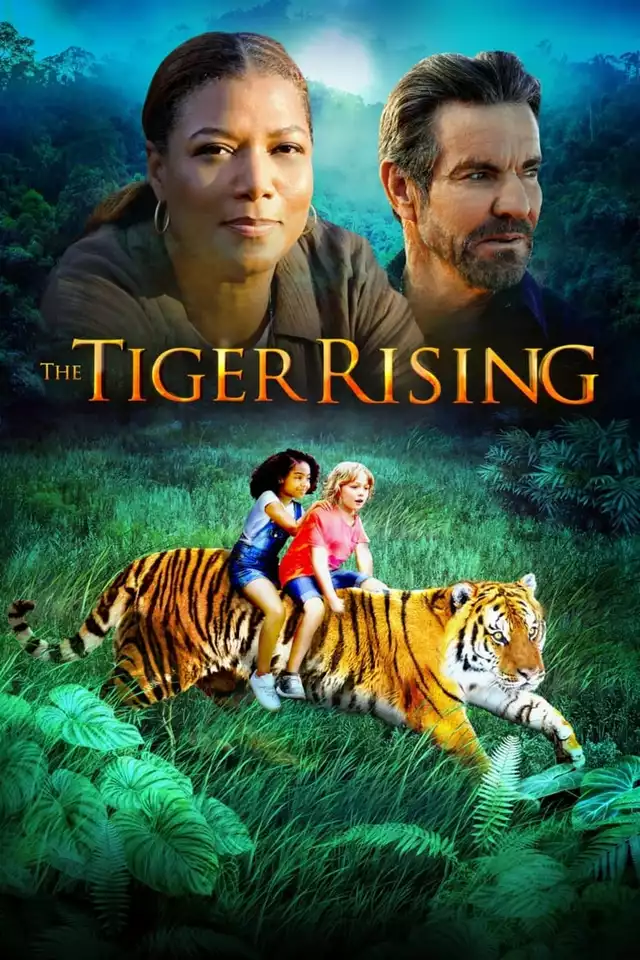 movie vertical poster fallback