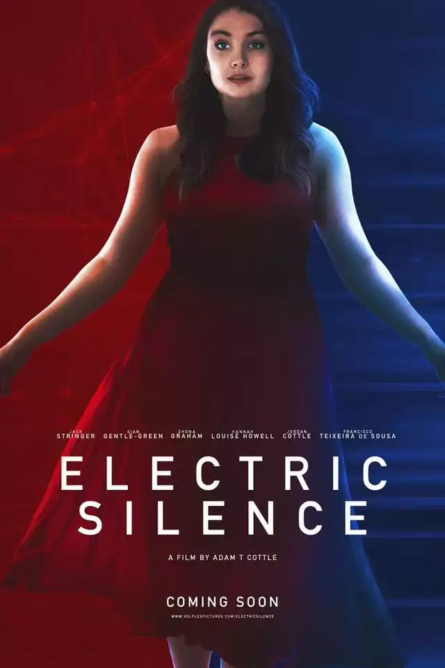 movie vertical poster fallback
