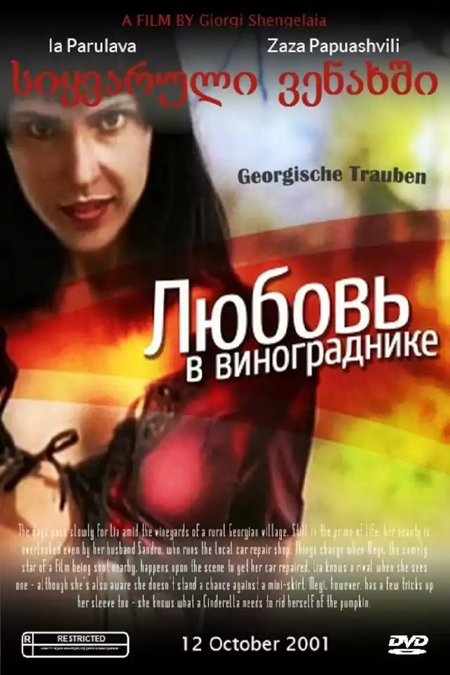 movie vertical poster fallback