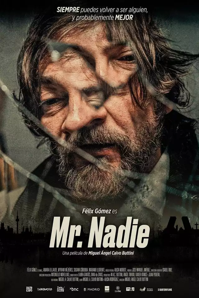 movie vertical poster fallback