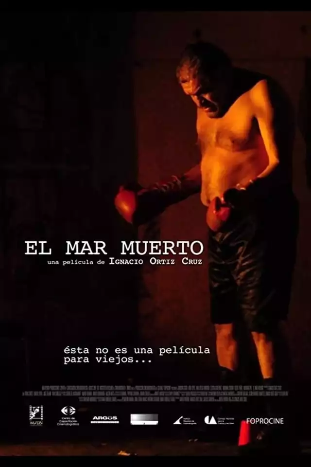 movie vertical poster fallback