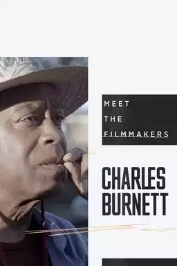A Walk with Charles Burnett