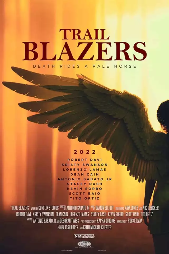 movie vertical poster fallback