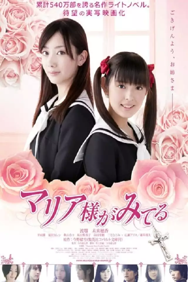 movie vertical poster fallback
