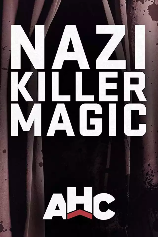 movie vertical poster fallback