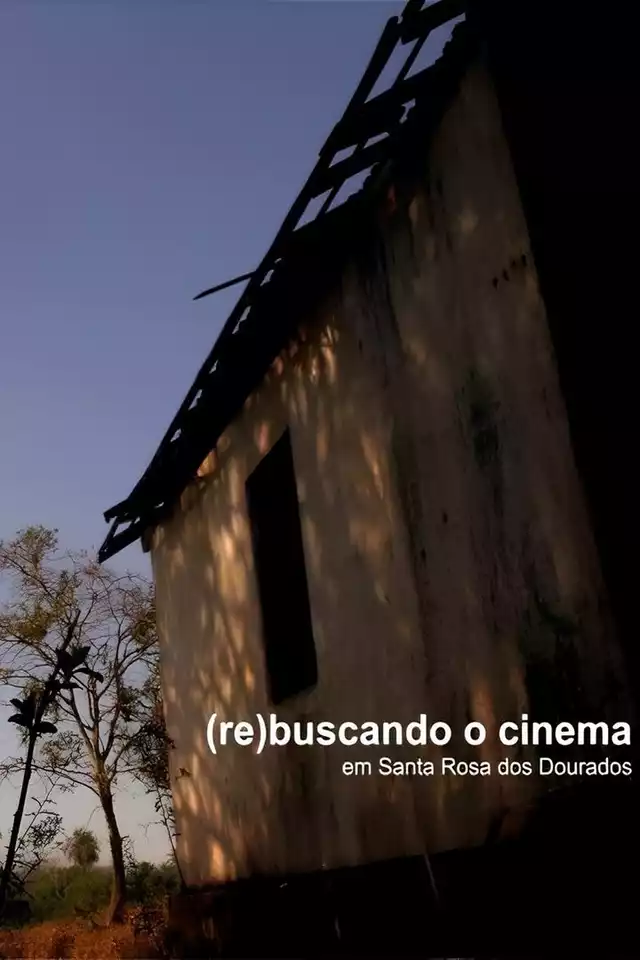 movie vertical poster fallback