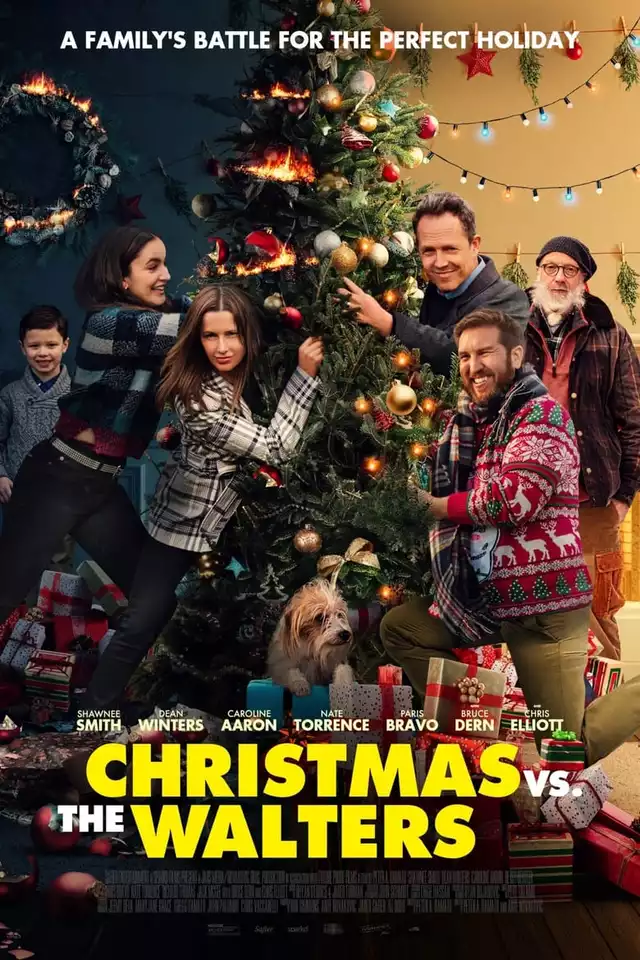 movie vertical poster fallback